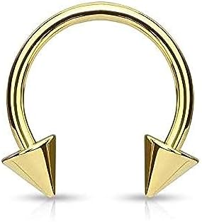 Horse Shoe Titanium IP Over 316L Surgical Steel w/Cone