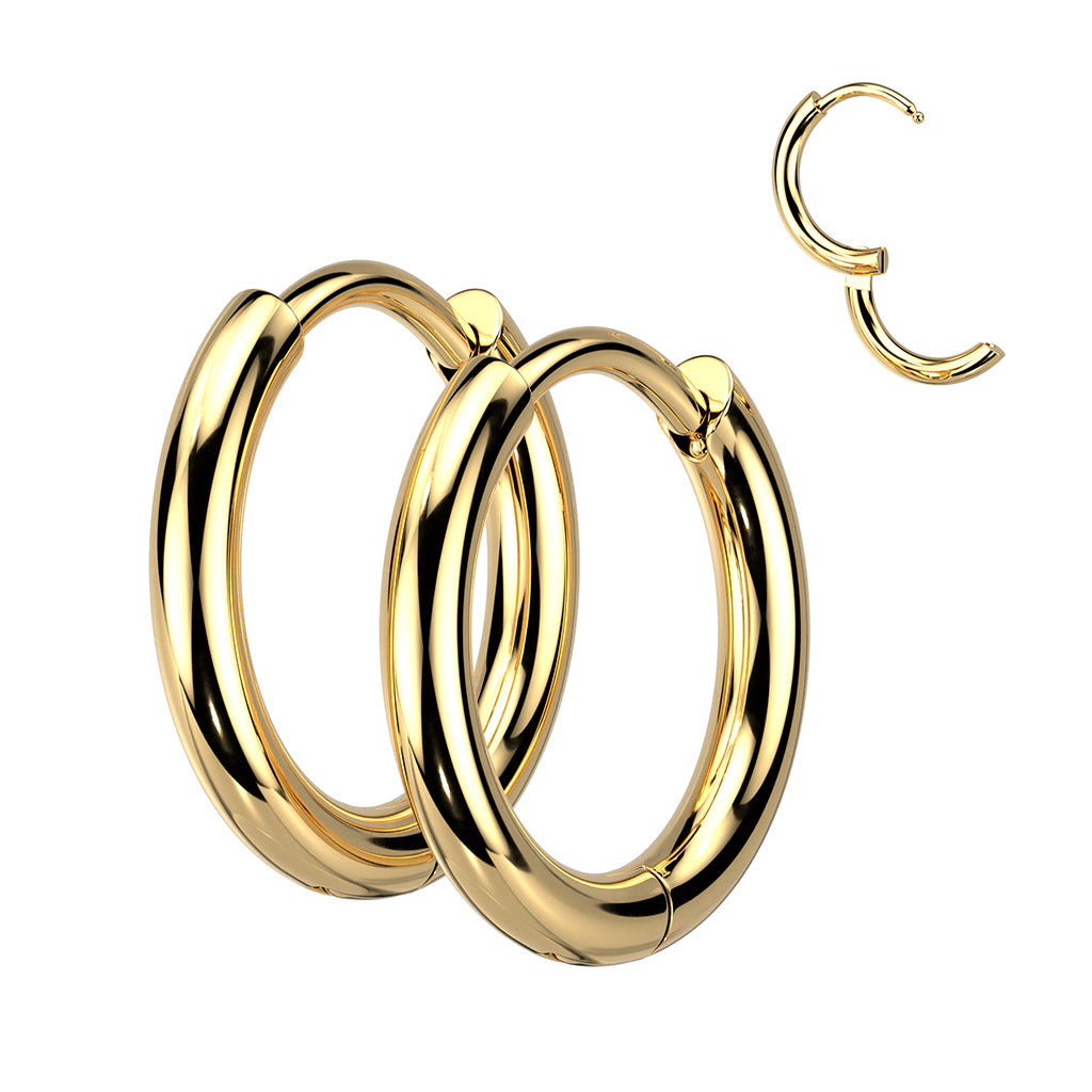 Pair of 316L Stainless Steel 2mm Thick Hinged Plain Round Hoop Earrings